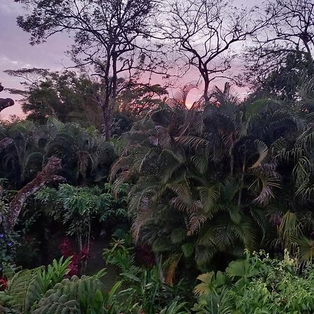 Cabana Villa Victoria El Valle de Anton الغرفة الصورة